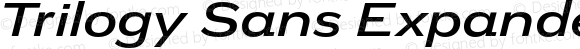 Trilogy Sans Expanded Medium Italic