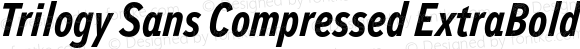 Trilogy Sans Compressed ExtraBold Italic
