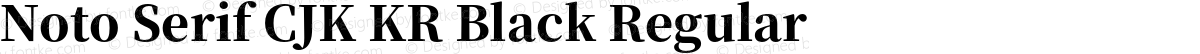 Noto Serif CJK KR Black Regular