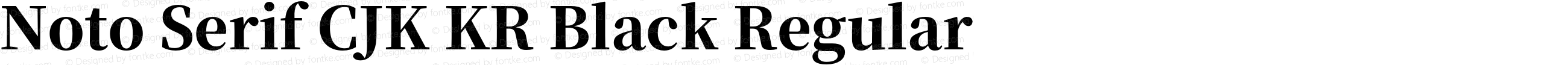 Noto Serif CJK KR Black Regular