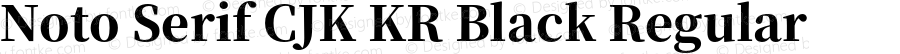 Noto Serif CJK KR Black Regular