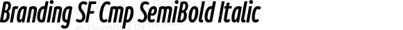 Branding SF Cmp SemiBold Italic