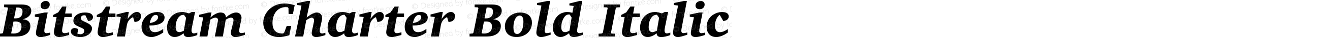 Bitstream Charter Bold Italic