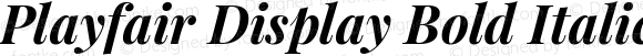 Playfair Display Bold Italic