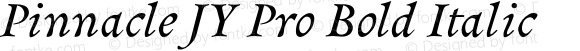 Pinnacle JY Pro Bold Italic