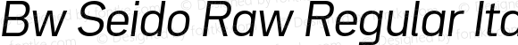 Bw Seido Raw Regular Italic