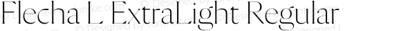 Flecha L ExtraLight Regular