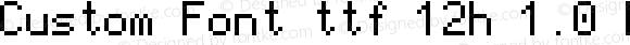 Custom Font ttf 12h 1.0 Regular