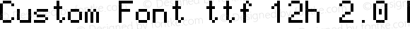 Custom Font ttf 12h 2.0 Regular