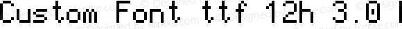 Custom Font ttf 12h 3.0 Regular