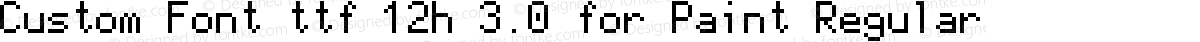 Custom Font ttf 12h 3.0 for Paint Regular