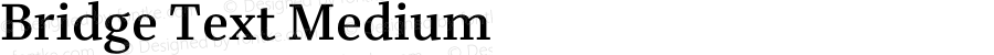 Bridge Text Medium