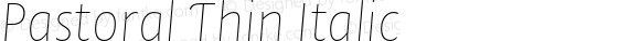 Pastoral Thin Italic