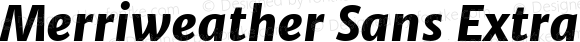 Merriweather Sans ExtraBold Italic