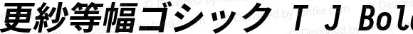 更紗等幅ゴシック T J Bold Italic