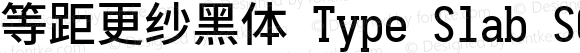 等距更纱黑体 Type Slab SC Medium