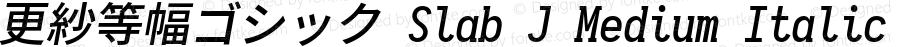 更紗等幅ゴシック Slab J Medium Italic