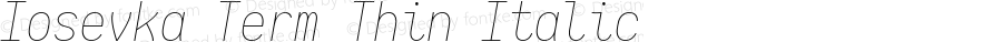 Iosevka Term Thin Italic