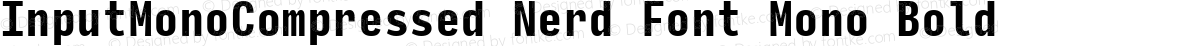InputMonoCompressed Nerd Font Mono Bold