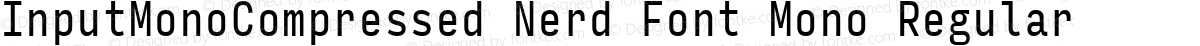 InputMonoCompressed Nerd Font Mono Regular