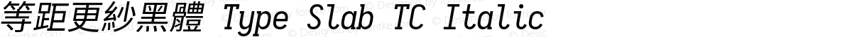 等距更紗黑體 Type Slab TC Italic