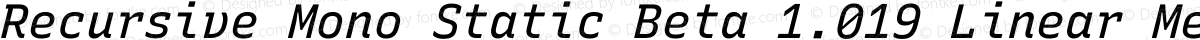 Recursive Mono Static Beta 1.019 Linear Medium Italic