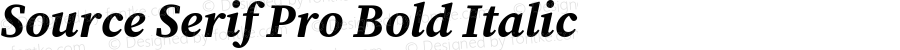 Source Serif Pro Bold Italic