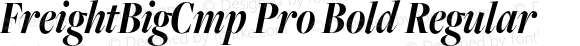 FreightBigCmp W03 Bold Italic