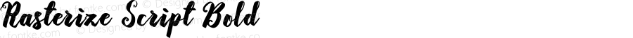 Rasterize Script Bold Version 1.000