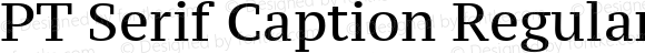 PT Serif Caption Regular