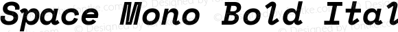 Space Mono Bold Italic