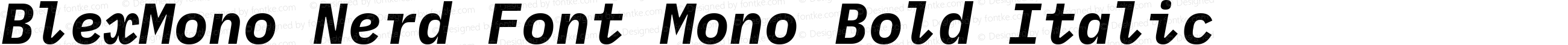 Blex Mono Bold Italic Nerd Font Complete Mono
