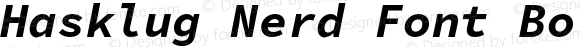 Hasklug Nerd Font Bold Italic