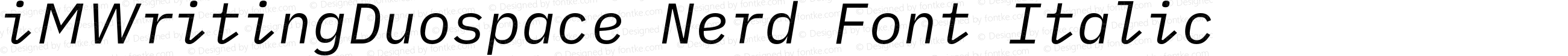 iM Writing Duospace Italic Nerd Font Complete