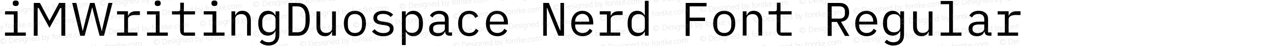 iMWritingDuospace Nerd Font Regular