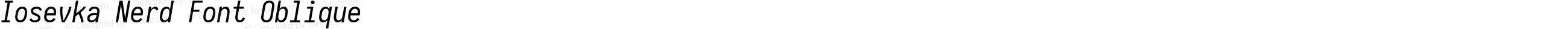 Iosevka Nerd Font Oblique