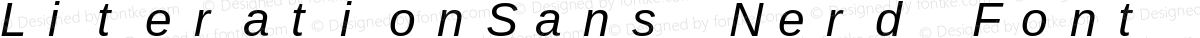 LiterationSans Nerd Font Mono Italic