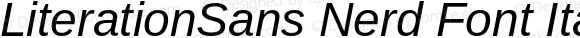 LiterationSans Nerd Font Italic