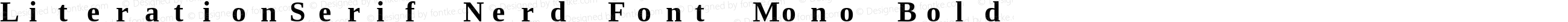 Literation Serif Bold Nerd Font Complete Mono