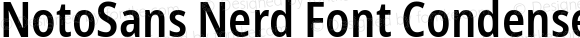 NotoSans Nerd Font Condensed SemiBold
