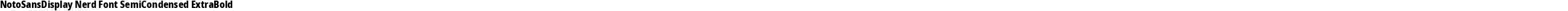 NotoSansDisplay Nerd Font SemiCondensed ExtraBold