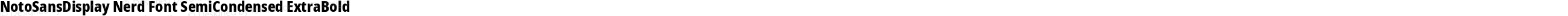 NotoSansDisplay Nerd Font SemiCondensed ExtraBold