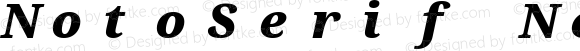 NotoSerif Nerd Font Mono Black Italic