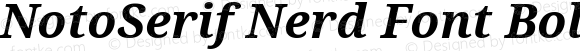 NotoSerif Nerd Font Bold Italic