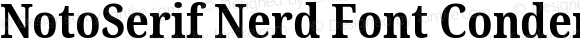 NotoSerif Nerd Font Condensed Bold