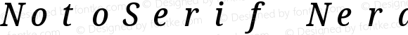 NotoSerif Nerd Font Mono Condensed Medium Italic