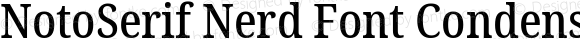 NotoSerif Nerd Font Condensed Medium