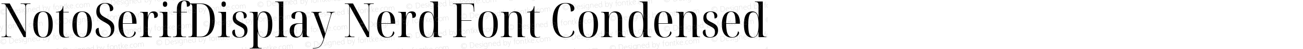 NotoSerifDisplay Nerd Font Condensed