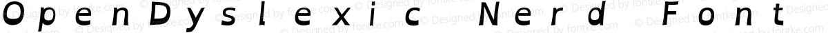 OpenDyslexic Nerd Font Mono Bold Italic