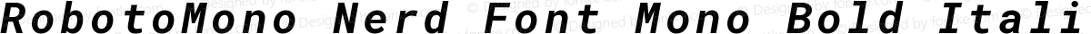 RobotoMono Nerd Font Mono Bold Italic
